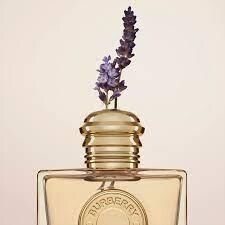 Burberry Goddess Edp 50 ml - Thumbnail