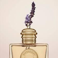 Burberry Goddess Edp 50 ml