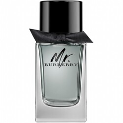 Burberry Mr. 100 ml Edt - 2