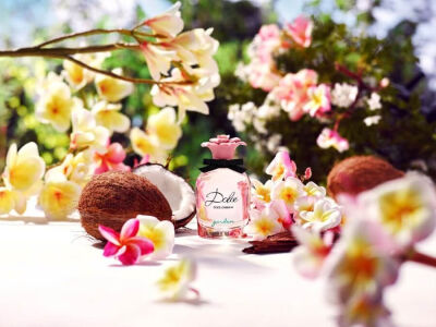 Dolce&Gabbana Garden Edp 50 ml - 3