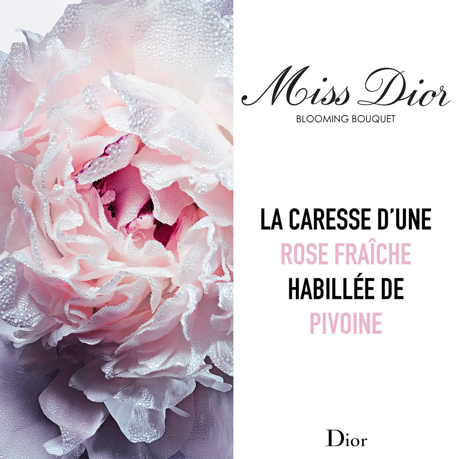 Dior Miss Dior Blooming Bouquet Edt 50 ml - Thumbnail