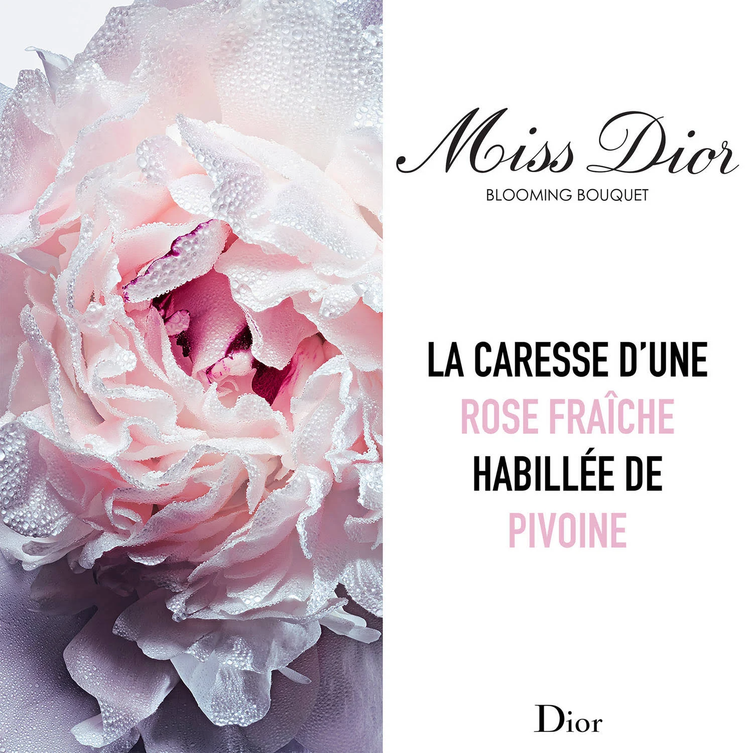 Dior Miss Dior Blooming Bouquet Edt 50 ml