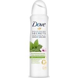 Dove - Dove Deodorant Matcha Sakura Çiçeği 150 ml