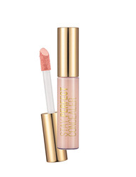 Flormar - Flormar Stay Perfect Concealer Kapatıcı 004 Ivory