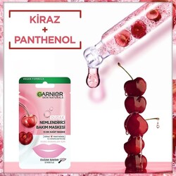 Garnier Dudak Nemlendirici Bakım Maskesi - Thumbnail