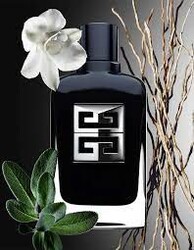 Givenchy Gentleman Society Edp 100 ml - 4