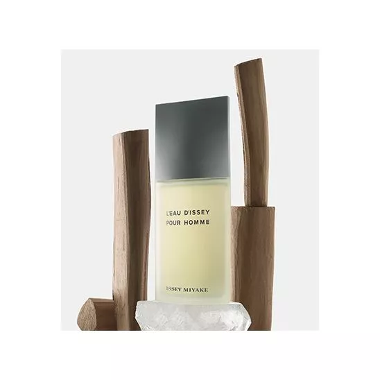 Issey Miyake Men 125 ml Edt - Thumbnail