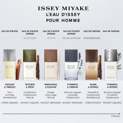 Issey Miyake L Eau D Issey Pour Homme Refillable Edp 125 ml - 4