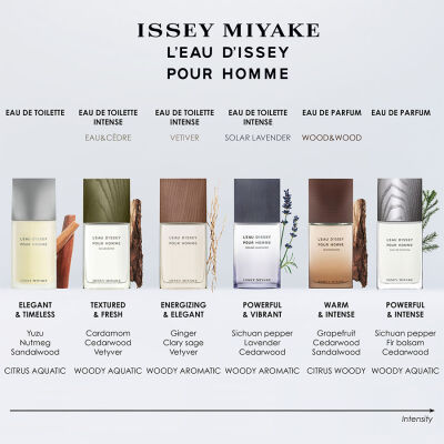 Issey Miyake L Eau D Issey Pour Homme Refillable Edp 125 ml - 4