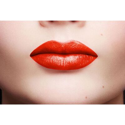 Loreal Paris Color Riche Lipstick Ruj 163 - 3