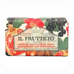 Nesti Dante Il Frutteto Blackcurrant 250g - Nesti Dante