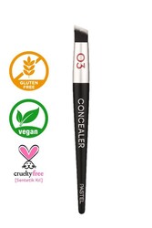 Pastel Profashion Concealer Brush Kapatıcı Fırçası 03 - 2