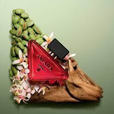 Prada Paradoxe Radical Essence Parfum 90 ml - 2