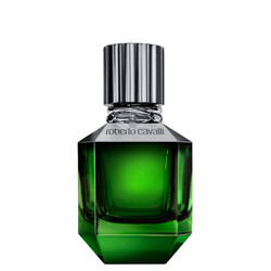 Roberto Cavalli Paradise Found Men 50 ml Edt - Thumbnail