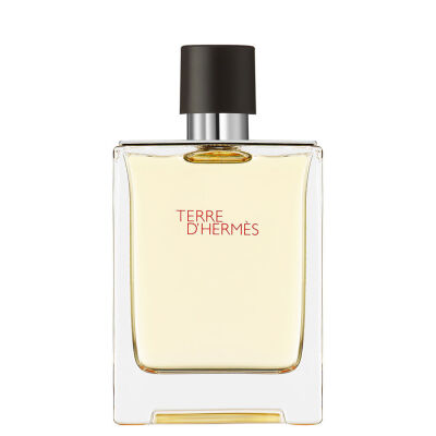 Terre D'Hermes 100 ml Edt - 1