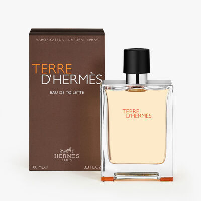 Terre D'Hermes 100 ml Edt - 2