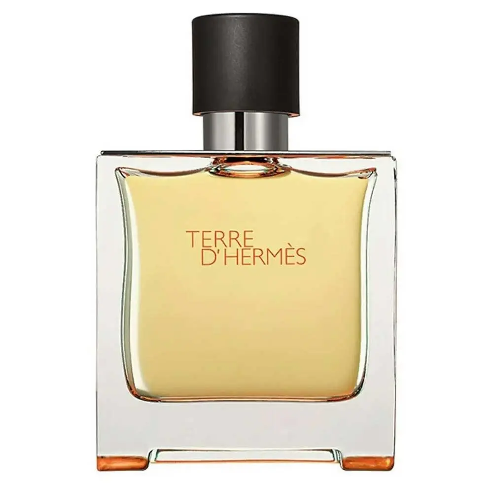 Terre D'Hermes Pure Parfum 75 ml - Thumbnail