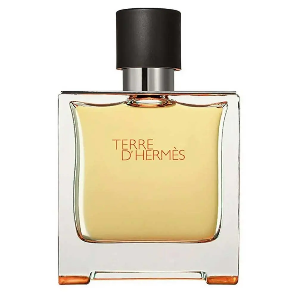 Terre D'Hermes Pure Parfum 75 ml