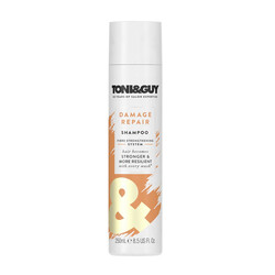 Toni&Guy Yıpranmış Saçlar İçin Şampuan 250 ml - Toni&Guy